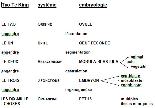 systmique de l'volution embryologique